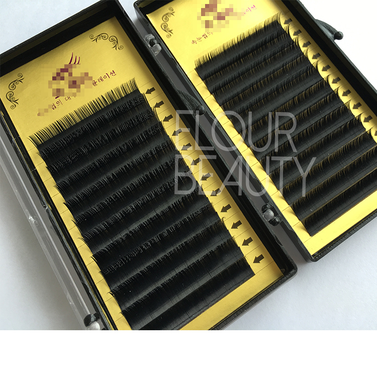 Private label mink natural looking eyelash extensions China EJ70